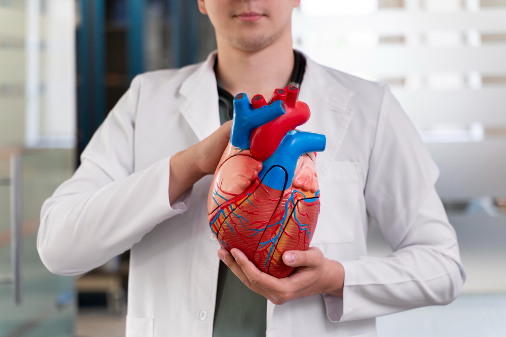 Il Potere Nascosto della Variabilità Cardiaca (HRV) sulla Tua Vitalità